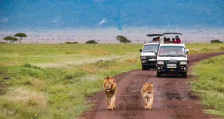 Safari africain : Kenya et Tanzanie (de Nairobi au parc national de Tarangire) - Collette 4