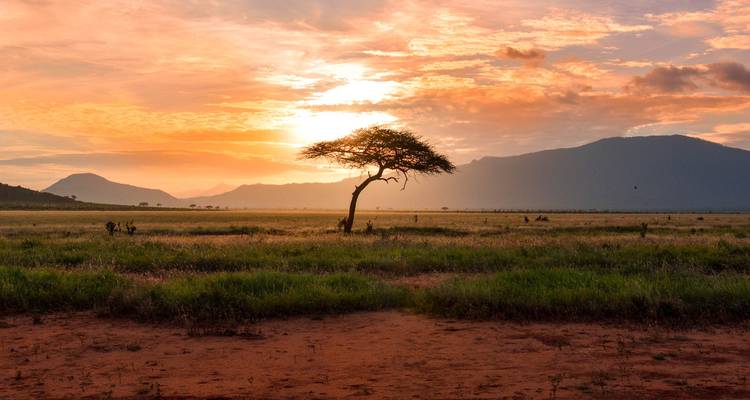 Safari africain : Kenya et Tanzanie (de Nairobi au parc national de Tarangire) - Collette 1