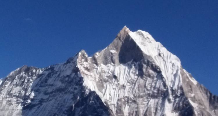 Annapurna Base Camp Trek 5 Days (Pokhara to Pokhara) - White Hill Adventure Treks and Expedition Pvt Ltd 2