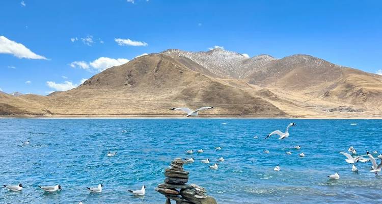 7 jours Lhassa Shigatse Everest Base Camp Sakya Private Tour - Great Tibet Tour 4