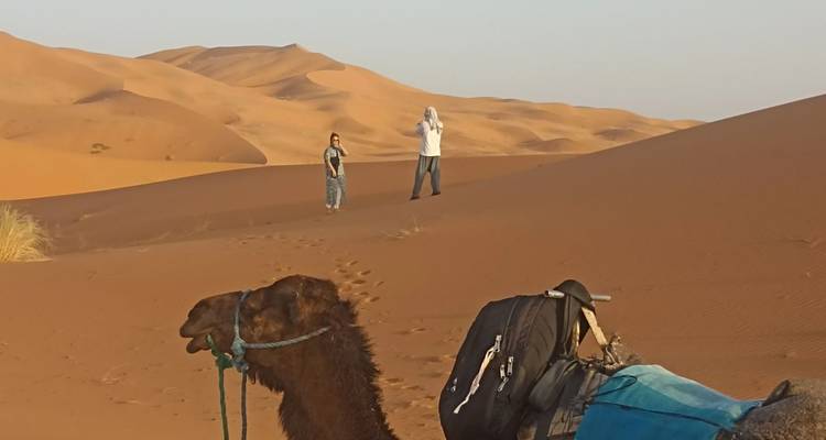 Kamel und zwei Personen in einer Wüstenlandschaft.