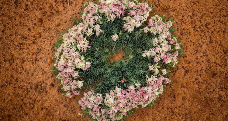 Circuito de Flores Silvestres de Broome a Perth - WA NT TOURS 6