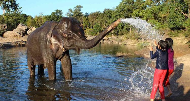 Elefant spritzt Wasser auf Personen, die in der Nähe stehen.