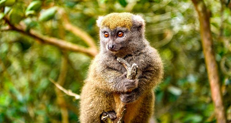 Découverte sur mesure du Grand Anneau de Madagascar, en Jeep privée - Agate Travel 9