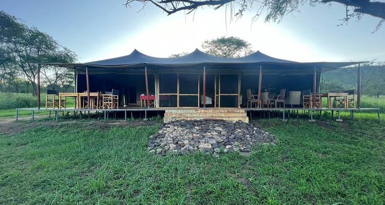 Zeltaufbau auf einer Holzplattform mit einer Grünfläche.