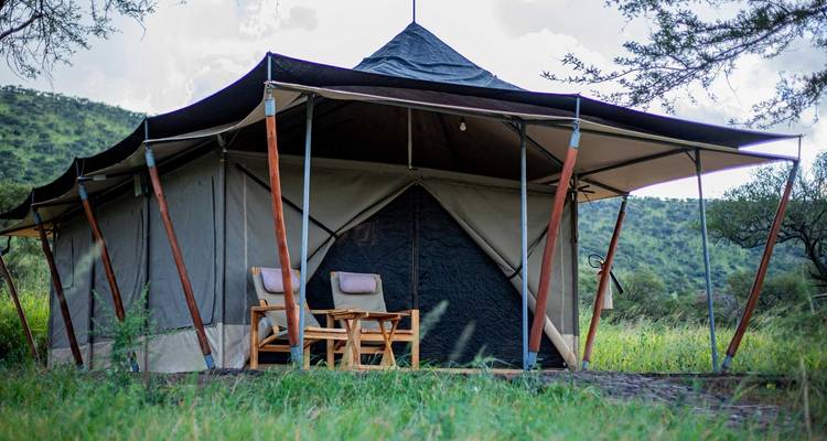 Zelt mit offenen Seiten und Stühlen auf einem grasbewachsenen Campingplatz.