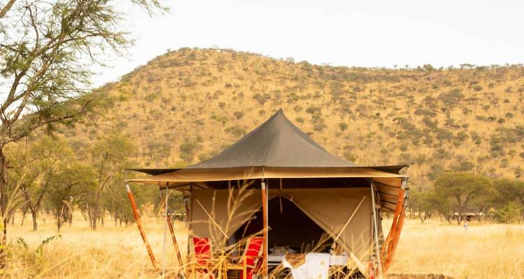 Zelt in einer Savannenlandschaft mit trockenem Gras und Hügeln.