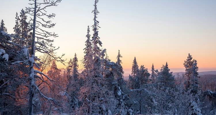 5 días Aurora Boreal con opción de iglú de cristal - Oasis Travel 7