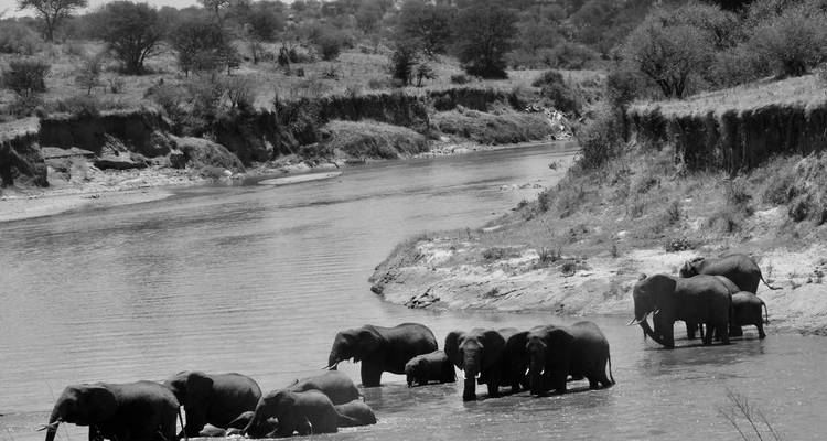 Safari animalier et vacances à la plage à Zanzibar - Professional Safari Africa 9