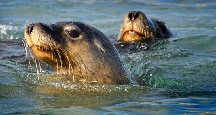 ¡A explorar! Expedición por la naturaleza - WA NT TOURS 4