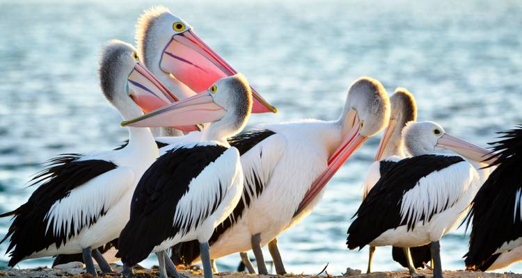 ¡A explorar! Expedición por la naturaleza - WA NT TOURS 8