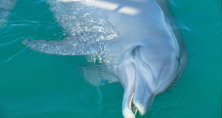 ¡A explorar! Expedición por la naturaleza - WA NT TOURS 9