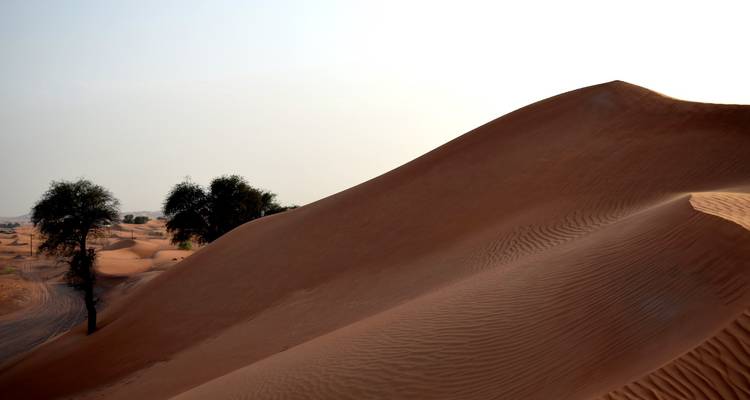 5 jours d'expériences palpitantes dans le désert à Ras Al Khaimah - STM Tours LLC 6