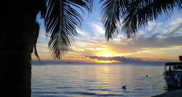 Adventures in the Mayan empire - DIAMIR Erlebnisreisen 4