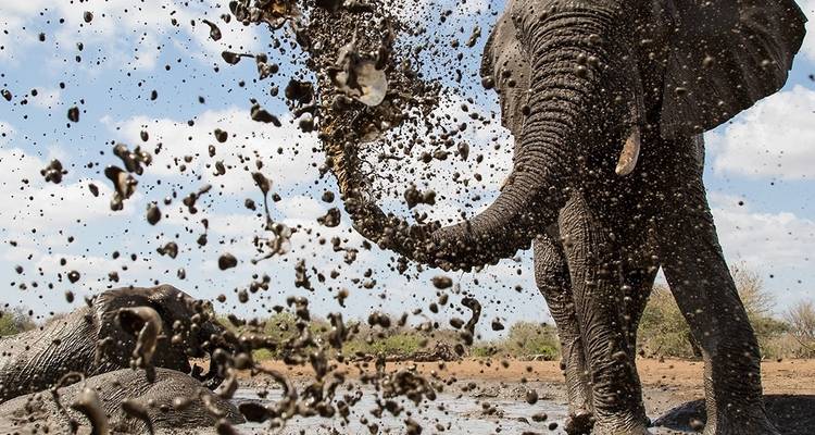 La migration du Serengeti et le cratère du Ngorongoro - Professional Safari Africa 4