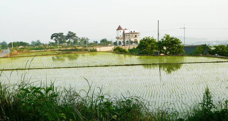 Arrozales inundados reflejando un pequeño edificio con torretas en una escena campestre de mañana brumosa