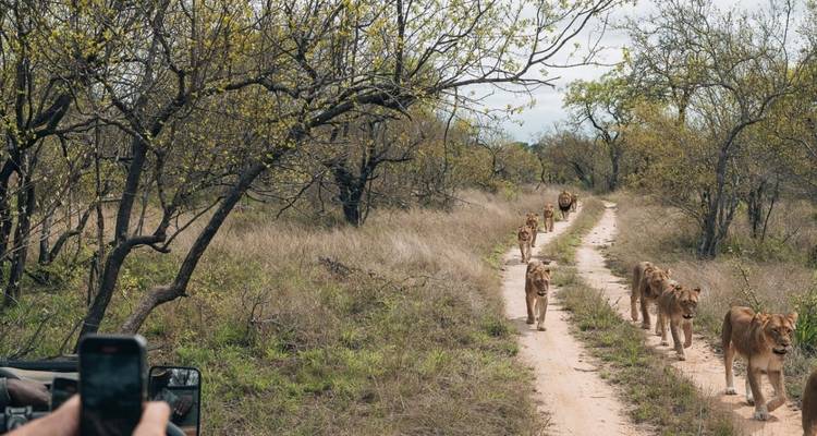 Affordable Northern Tanzania Safari Big Five - Professional Safari Africa 6