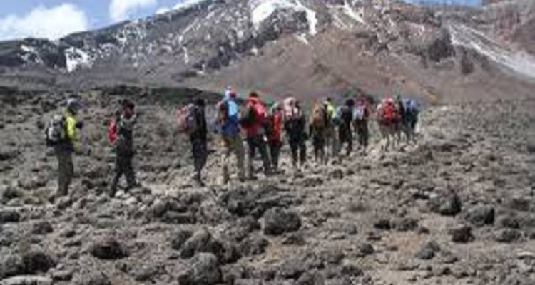 Best Kilimanjaro Day Hike With Car Shira Plateau Experience - Kilingeadventures 4