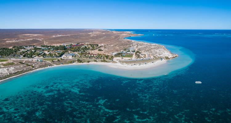 Excursion avec masque et tuba pour les baleines à bosse sur le récif de Ningaloo - WA NT TOURS 3