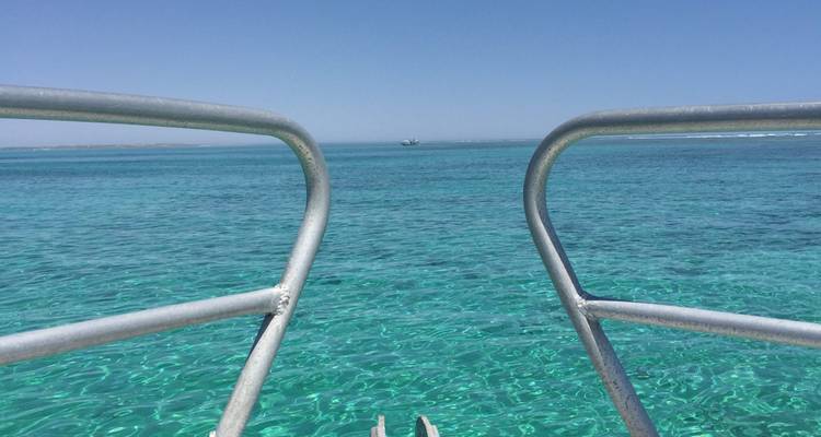 Excursion avec masque et tuba pour les baleines à bosse sur le récif de Ningaloo - WA NT TOURS 4