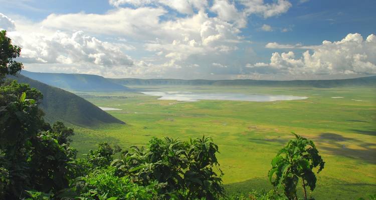 Safari abordable dans le nord de la Tanzanie - Professional Safari Africa 6