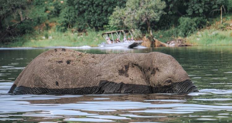 A Journey Through Nature and Wildlife 6 Days/5 Nights - Across Africa Tours & Travel 8