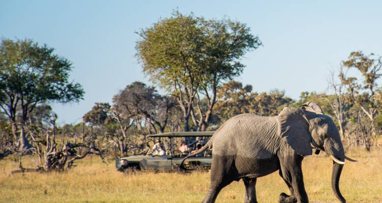 Private Etosha Safari (4 Days) - T.S TOURS 4