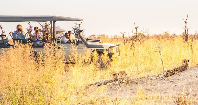Private Etosha Safari (4 Days) - T.S TOURS 6