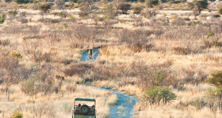 Private Etosha Safari (4 Days) - T.S TOURS 7