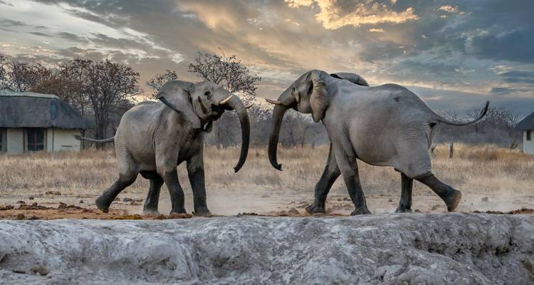 Private Etosha Safari (4 Days) - T.S TOURS 9