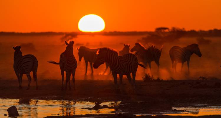 Private Etosha Safari (4 Days) - T.S TOURS 10