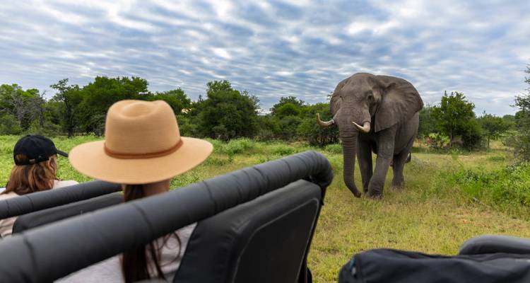 Garden Route & Cape Explorer: 10 Days of Beauty & Adventure - T.S TOURS 7