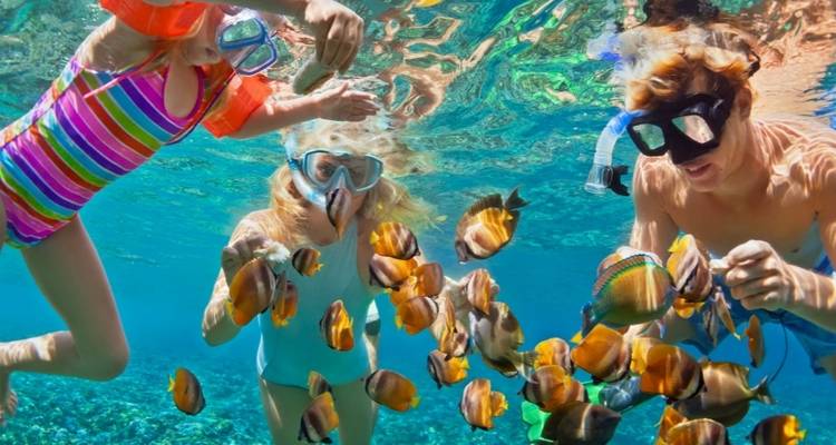 Familie beim Schnorcheln unter Wasser mit Fischen in klarem blauen Wasser.