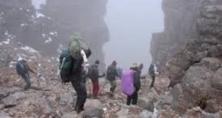 Circuito de un día: Aventuras de 1 Día en la Ruta del Kilimanjaro Lemosho. - Kilingeadventures 4
