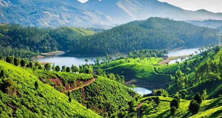 Malerischer Blick auf Teeplantagen und Hügel.