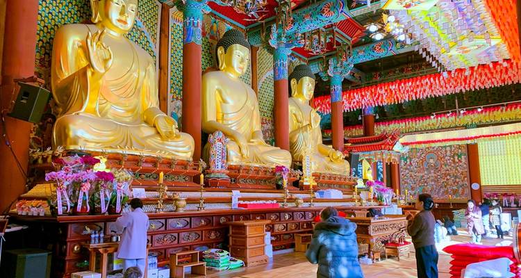 Paquete turístico de 11 días - Lo mejor de Corea del Sur y Japón - Tourist Journey 4