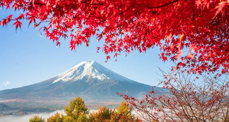Mount Fuji framed by vibrant red maple leaves against a bright sky.