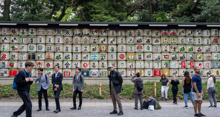 Lo Mejor de Corea del Sur y Japón en 14 Días - Tourist Journey 8