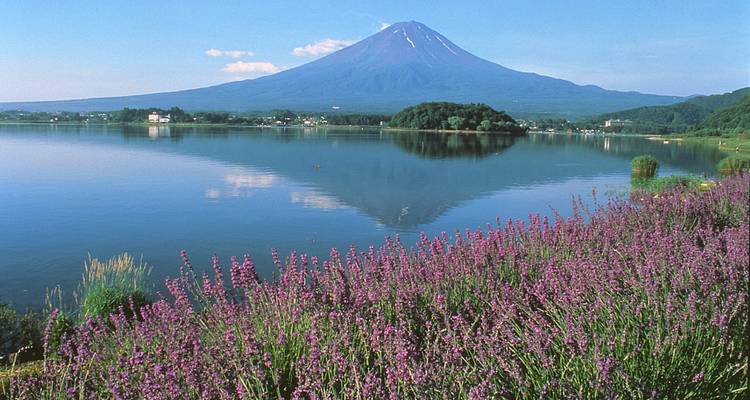 15 days Experience Japan: Island of myths and modernity - Oasis Travel 7