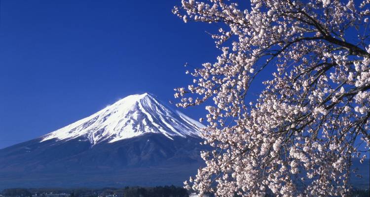 15 days Experience Japan: Island of myths and modernity - Oasis Travel 10