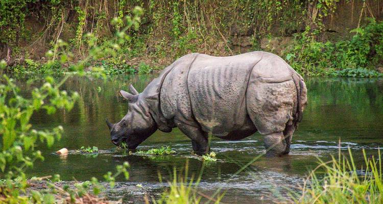 Aventura en Nepal - Intrepid Travel 7