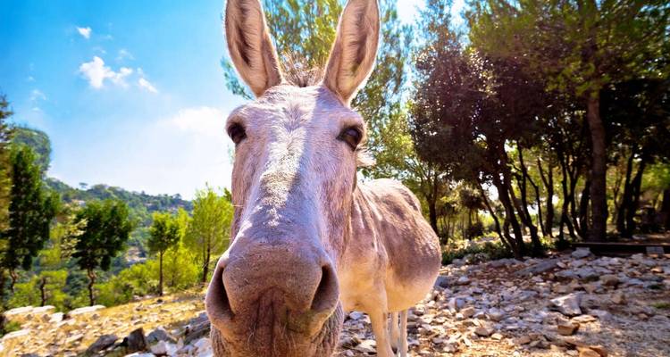 La Croatie à la découverte des îles - Explore! 3