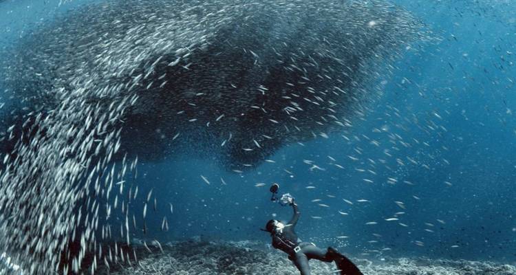 16 jours Philippines plages, chutes d'eau et lagons (guide et chauffeur privés）) - UME Travel Co. Ltd 9