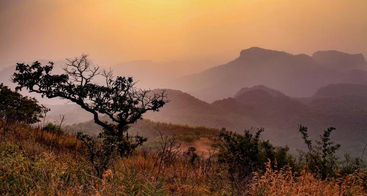 India’s Cultural and Wildlife Treasures: A Journey from Bhopal to Delhi - MTA Destination Management Company 4