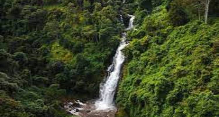 Best Kilimanjaro Hike: 1-Day Marangu Route Experience - Kilingeadventures 3