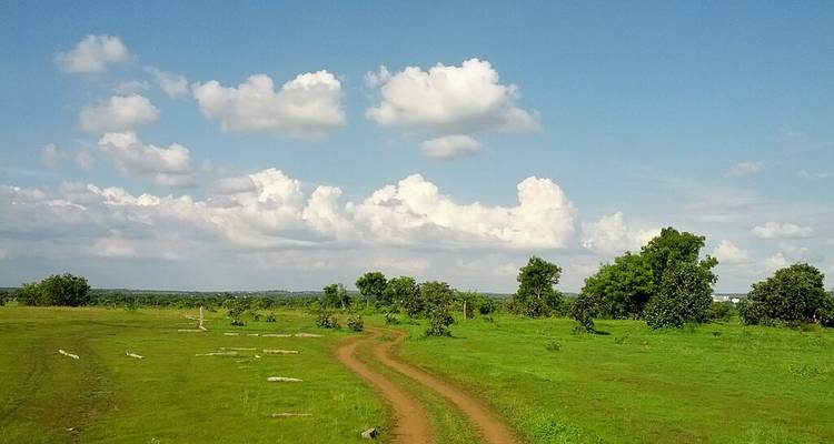 Landscape with a dirt path through green fields and a blue sky with clouds.