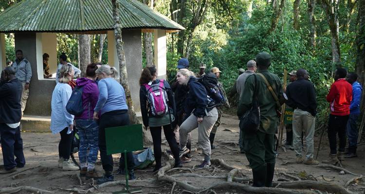Safari privé en Ouganda - 10 jours Primates, culture et faune - T.S TOURS 2