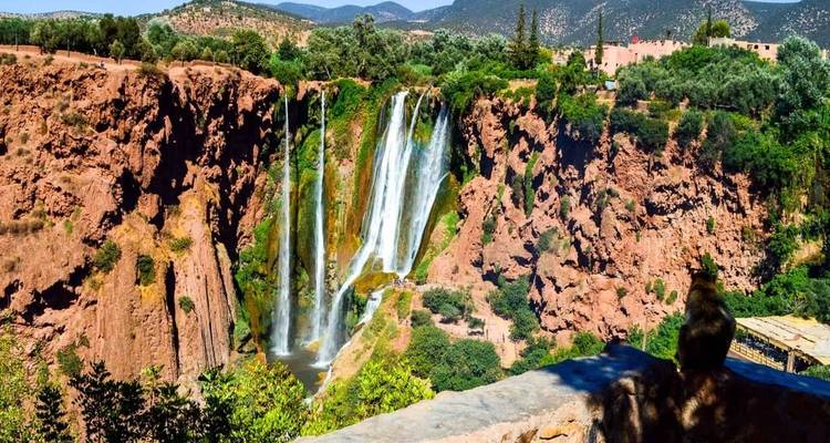Excursion d'une journée de Marrakech aux chutes d'Ouzoud (privée) - Omega Tour 3