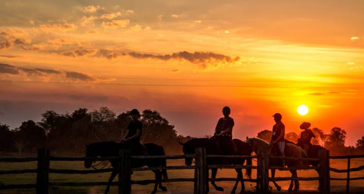 Southern Pantanal & Bonito - ETours Brazil DMC 9