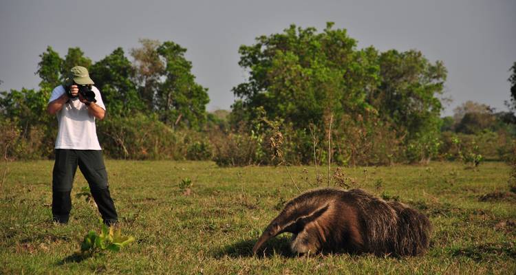 Southern Pantanal & Bonito - ETours Brazil DMC 2